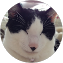 うめ profile picture