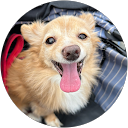 片桐由美子 profile picture