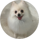 85 rarara profile picture