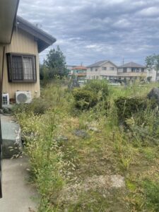 名古屋の便利屋なんでもやの草刈り草引き作業レポート