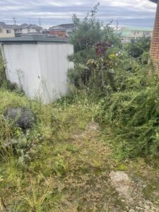 名古屋の便利屋なんでもやの草刈り草引き作業レポート